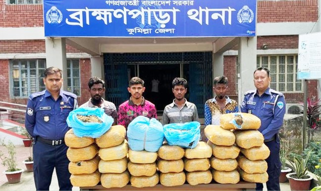 ব্রাহ্মণপাড়ায় বিপুল পরিমাণ গাঁজাসহ গ্রেফতার ৪